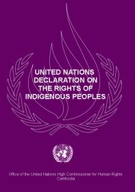 United Nations Declaration on the Rights of Indigenous Peoples 