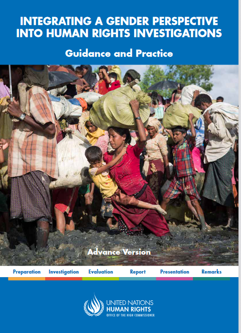 Integrating a Gender Perspective into Human Rights Investigations: Guidance and Practice