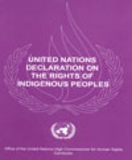 United Nations Declaration on the Rights of Indigenous Peoples | OHCHR